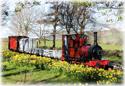 Show more details of Narrow Gauge Railway Museum