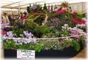 Dibleys Nurseries Dibleys Nurseries