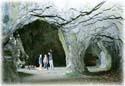 Show more details of Llanfair Caverns & Farm Park Show more details of Llanfair Caverns & Farm Park