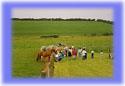 Show more details of Foel Farm Park Show more details of Foel Farm Park
