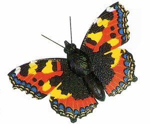 The Original Butterfly Man The Original Butterfly Man