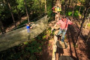 Go Ape! High Wire Forest Adventure