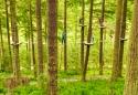 Go Ape  Forest Adventure