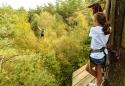 Go Ape Forest Adventure