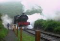 Show more details of Gwili Steam Railway Show more details of Gwili Steam Railway