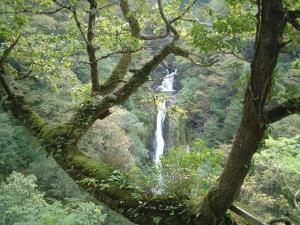 Devils Bridge Waterfall