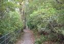 Nature Trail Walk