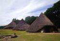 Show more details of Castell Henllys Iron Age Fort Show more details of Castell Henllys Iron Age Fort