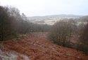 Show more details of Coed Crafnant Reserve