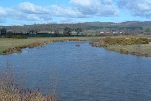 Dolydd Hafren View