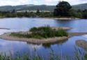 Show more details of Llyn Coed y Dinas