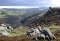 Show more details of Coed Rheidol Nature Reserve