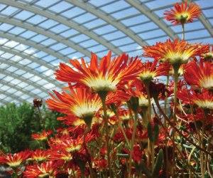 National Botanic Garden of Wales