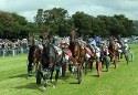 Show more details of Tregaron Trotting Club