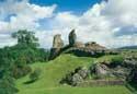 Show more details of Montgomery Castle 