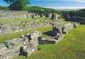 Strata Florida