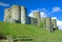 Show more details of Kidwelly Castle 
