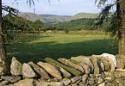 Show more details of Tregaron
