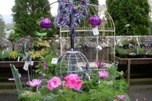 Powis Castle & Gardens