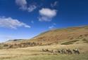 Show more details of Tregoyd Mountain Riders