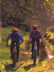 Mynydd Trawsnant - Off-Road Loop