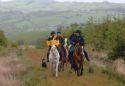 Show more details of Dyfnant & Vyrnwy Forests