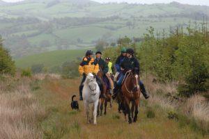 Dyfnant & Vyrnwy Forests