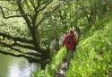 Dragon Trails Walking Holidays