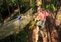 Show more details of Go Ape! Margam Show more details of Go Ape! Margam