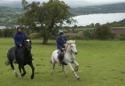 Show more details of Wales Trekking and Riding Association Show more details of Wales Trekking and Riding Association