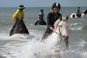 Wales Trekking and Riding Association Wales Trekking and Riding Association