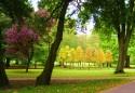 Show more details of Bute Park and Arboretum Show more details of Bute Park and Arboretum