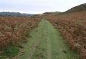 Show more details of Glyndwrs Way / Section 10-13