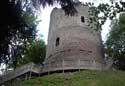Show more details of Bronllys Castle