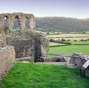 Dryslwyn Castle