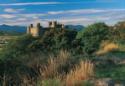 Show more details of Janet Redler Travel and Tourism
