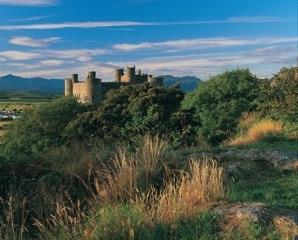 Janet Redler Travel and Tourism