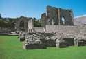 Show more details of St Dogmaels Abbey
