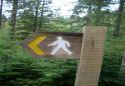 Show more details of Ystwyth Trail (Stage 1) Show more details of Ystwyth Trail (Stage 1)