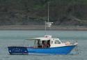 Dolphin Survey Boat Ride