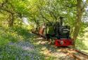 Show more details of Rheilffordd Talyllyn Railway