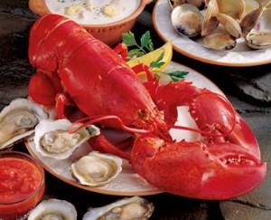 Cardigan Bay Seafood Festival