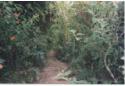 Show more details of Felinwynt Rainforest Centre