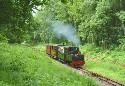 Show more details of Teifi Valley Railway