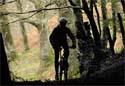 Show more details of Mach 1,2,3 Cycle Routes