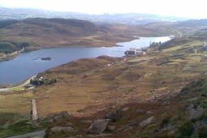 Bryn Elltyd
