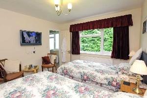 the Skomer Room