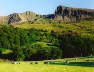 Tyddyn Mawr