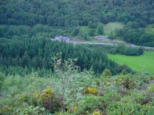 Tyn y Groes Hotel