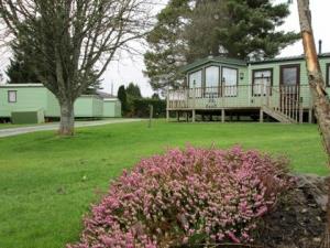 The Pines Caravan Park